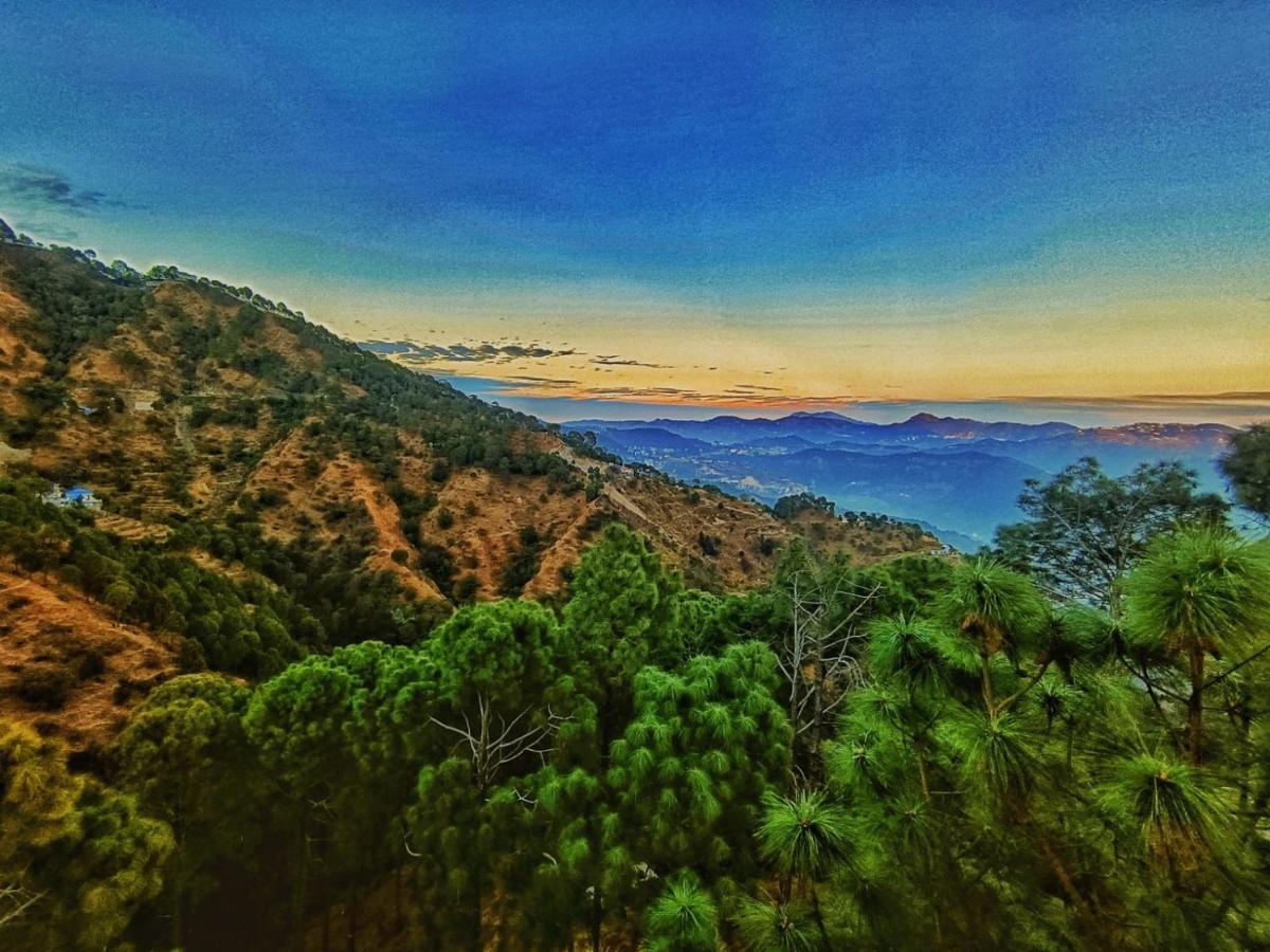 The Lalita'S Majestic Pines Bed & Breakfast Kasauli Exterior photo